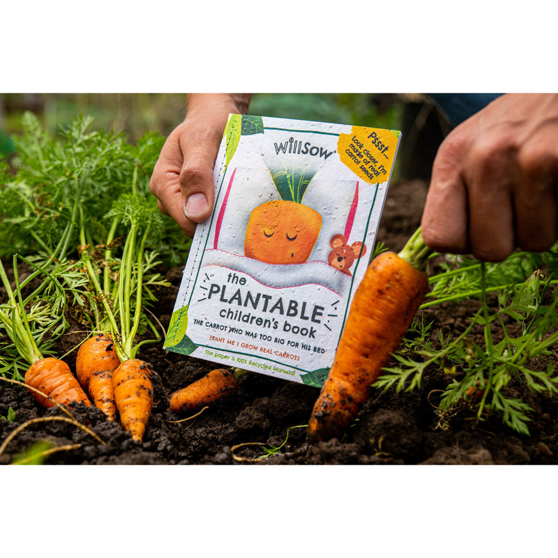 Plantable children book carrot outdoor