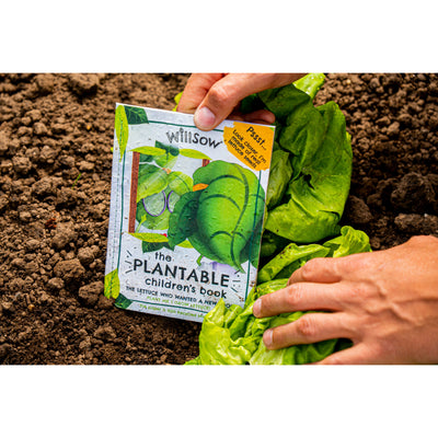 Plantable children book lettuce planting seeds