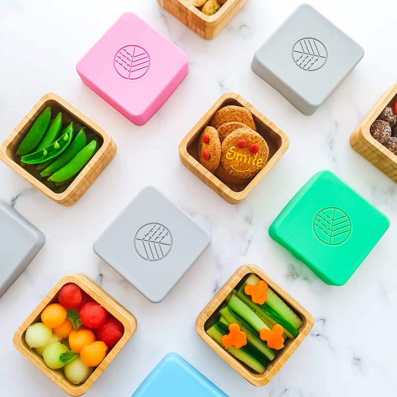 Snack boxes multi coloured